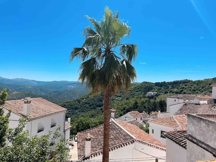 Сasa de vacaciones La Palmera. Casa Rural Con Piscina Privada. Benadalid